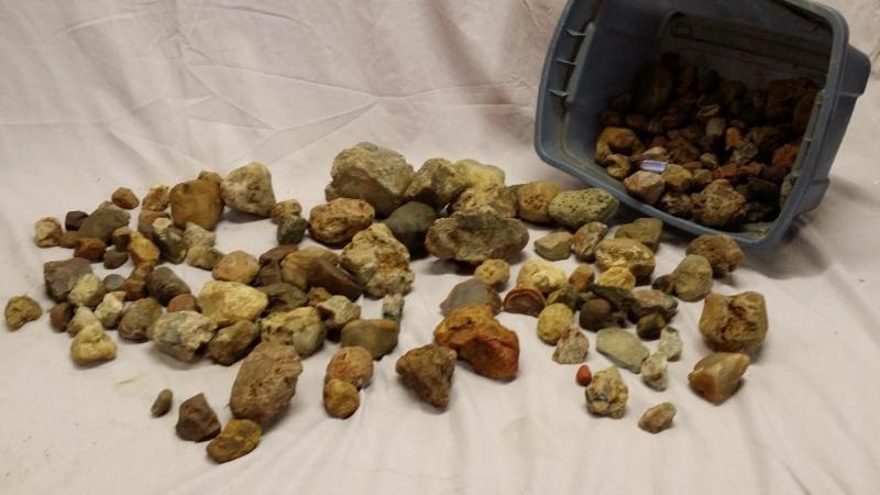 Bin of Rocks and Agates. Great for ...