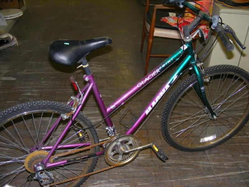 lot 549 image: Magna Glacier Point Girls Bike, ind...