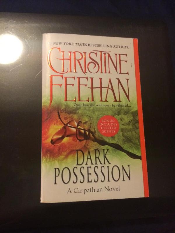 Christine Feehan Dark Possession...