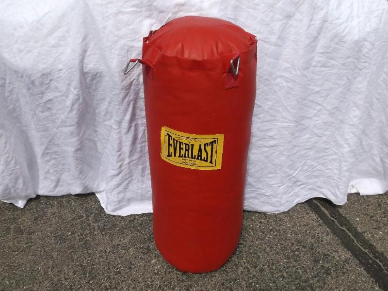 Ever last punching bag in excellent...