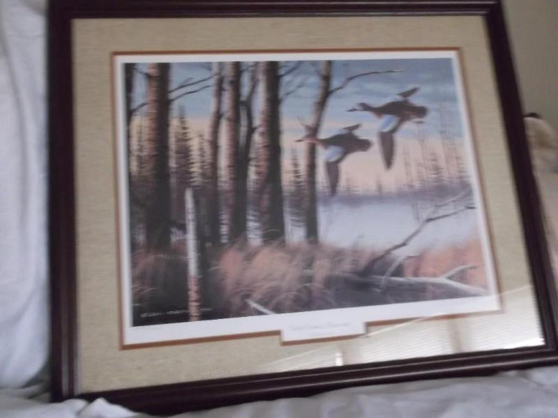 Nice print North Country Bluewings ...