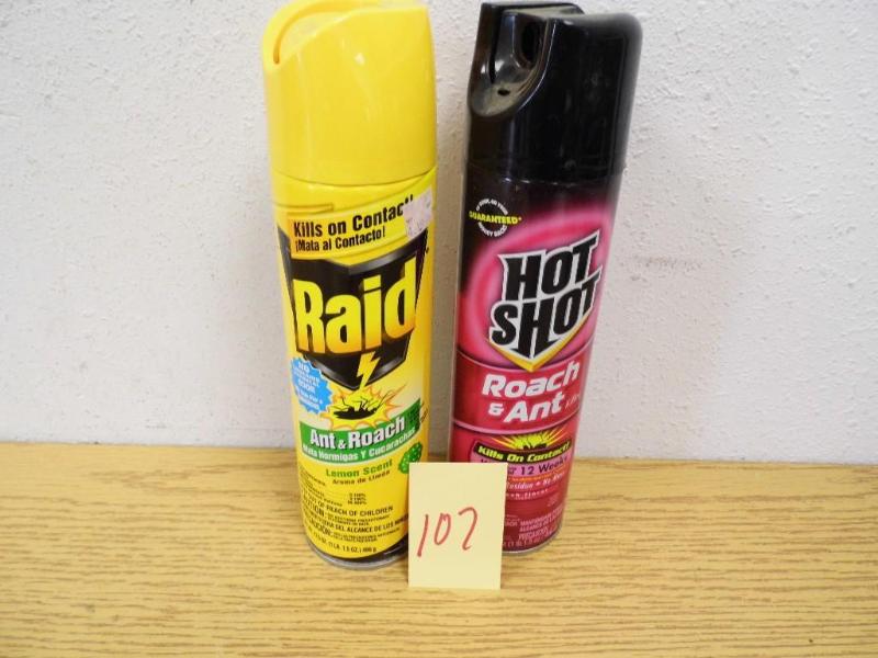 Raid Ant & Roach and Hot Shot Roach & Ant
