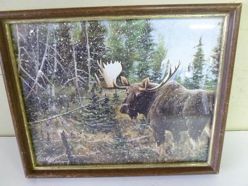 Killen - Moose wood framed print th...