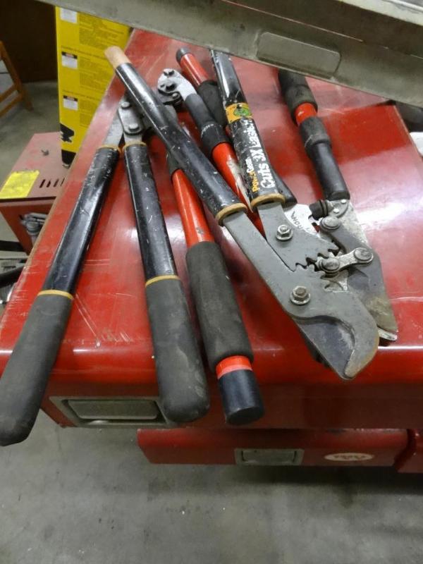lot 11 image: 4 tree pruners...