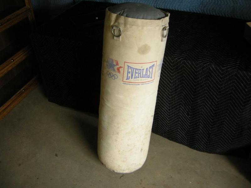 lot 95 image: Everlast Punching Bag