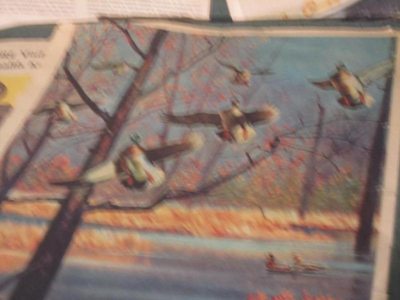 lot 205 image: Wild life pictures ...