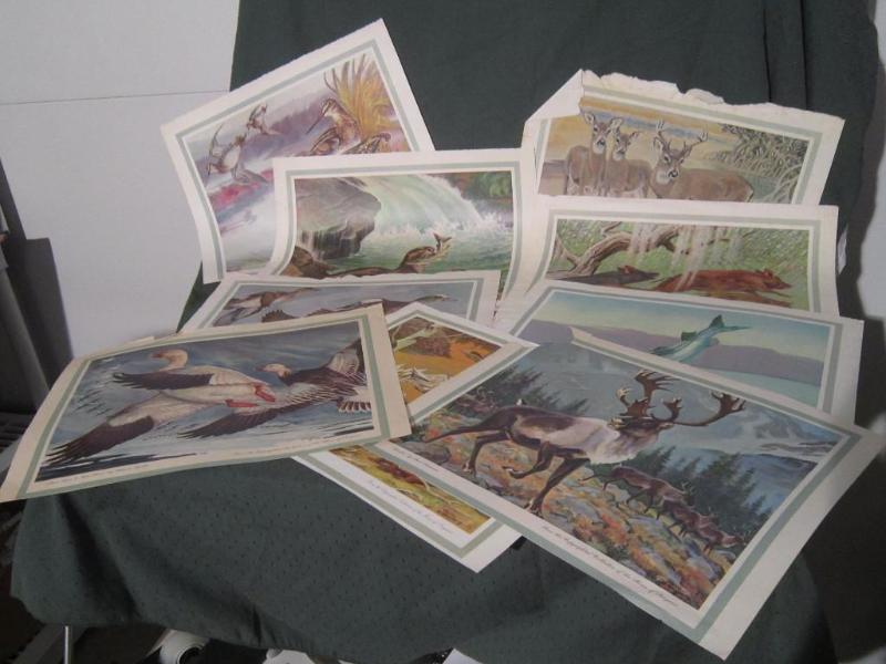 lot 206 image: 34 Wild Life Art - See Addition Pic...