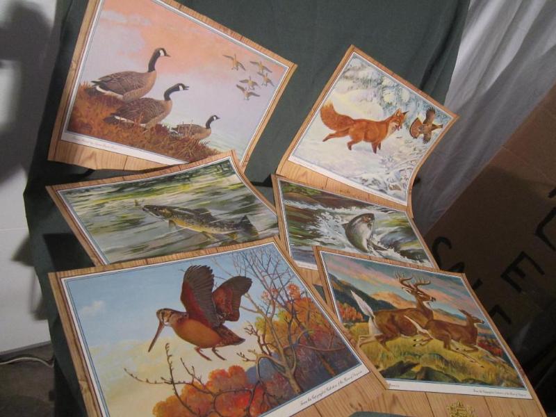 lot 207 image: 11 Wild Life Pictures - See additio...