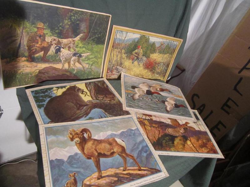 lot 208 image: 6 Wild life pictures...