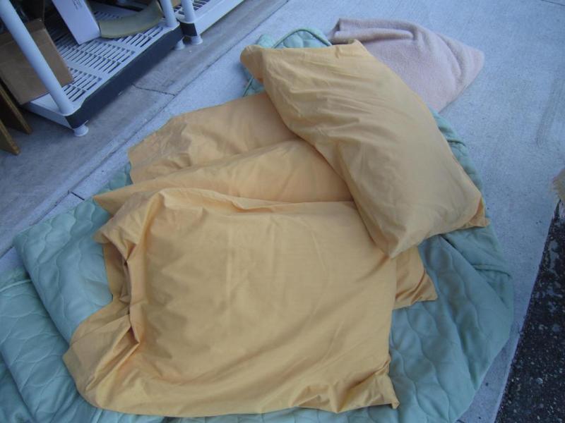 lot 268 image: 4 Pillows and Cases...