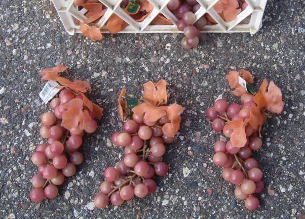 lot 285 image: Crate full of artificial Grapes...