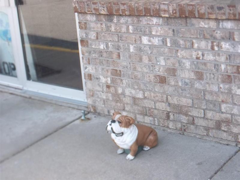 Very Cool Concrete Bulldog Heavy Co...