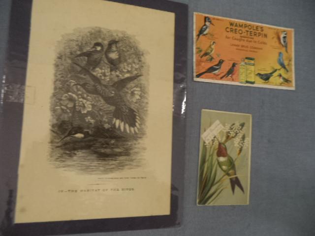lot 71 image: Advertising Lamar Drug Co.
