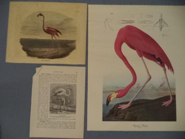lot 79 image: Red Flamingo Lithograph
