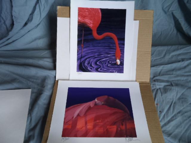 lot 80 image: K Kline Flamingo Proofs