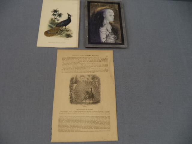 lot 87 image: 1800s Hand Colored Litho