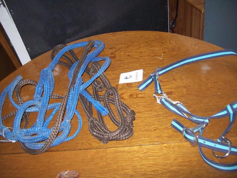 Horse equipment item 19...