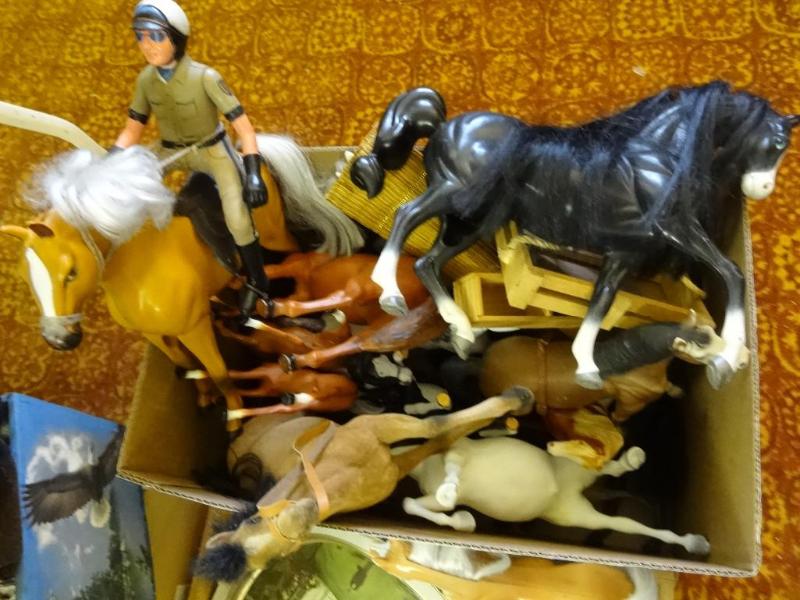 Misc. Horses...