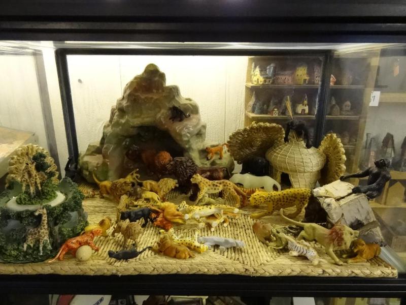 Animal Scene in Aquarium...