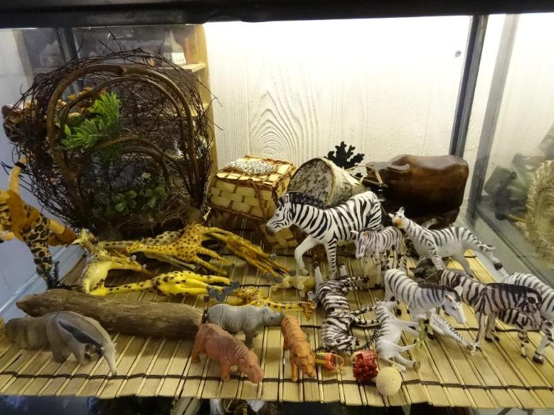 Animal Scene in Aquarium...