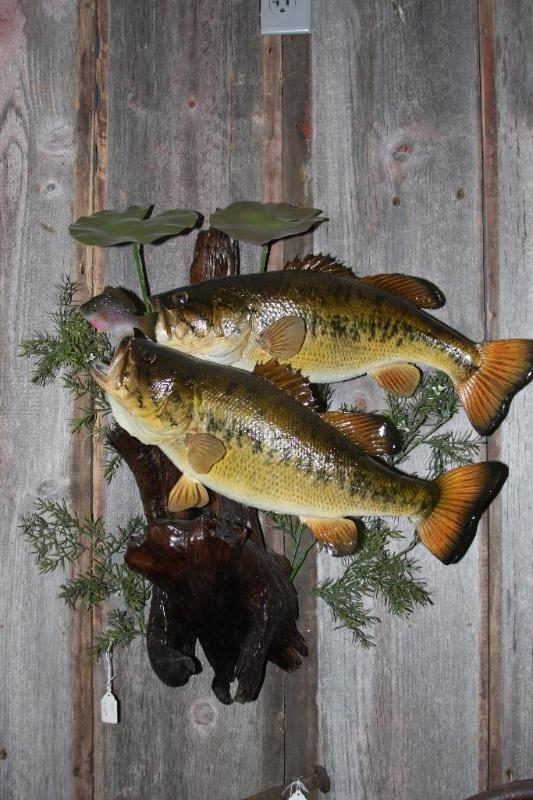 lot 58 image: Bass Mount. This NEW mount consists...