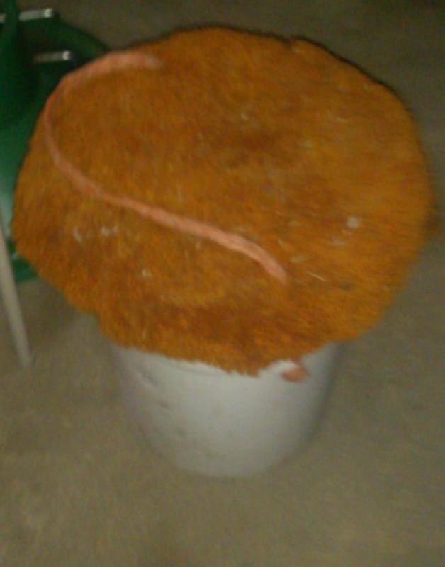 Set of 2 handmade fishing buckets, ...