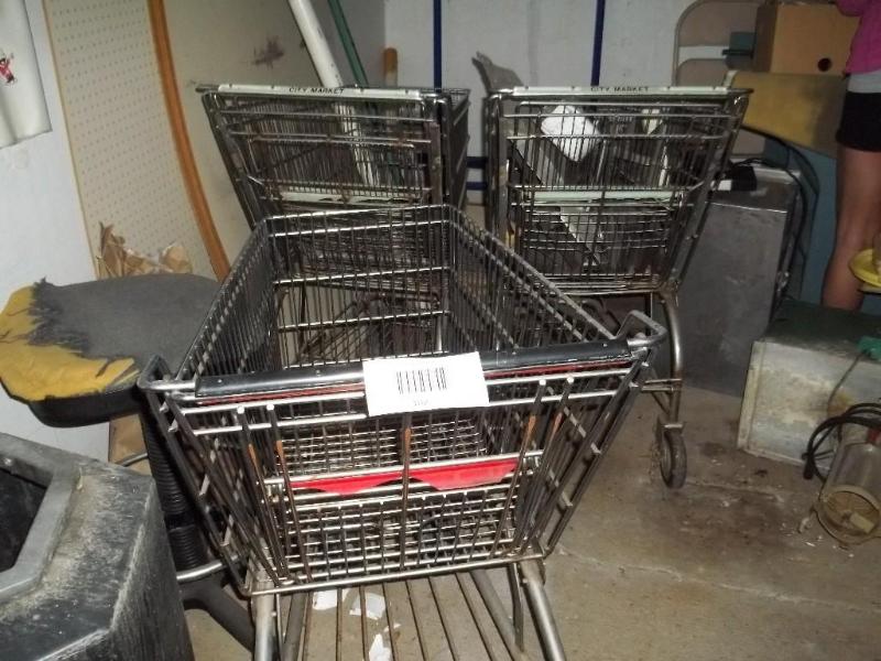 3 shopping carts...
