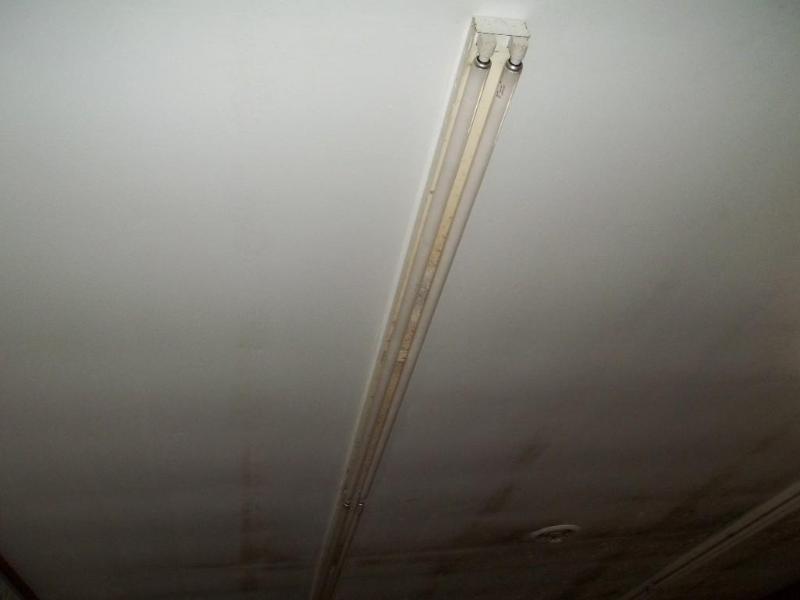 7 - 8 fluorescent lights...