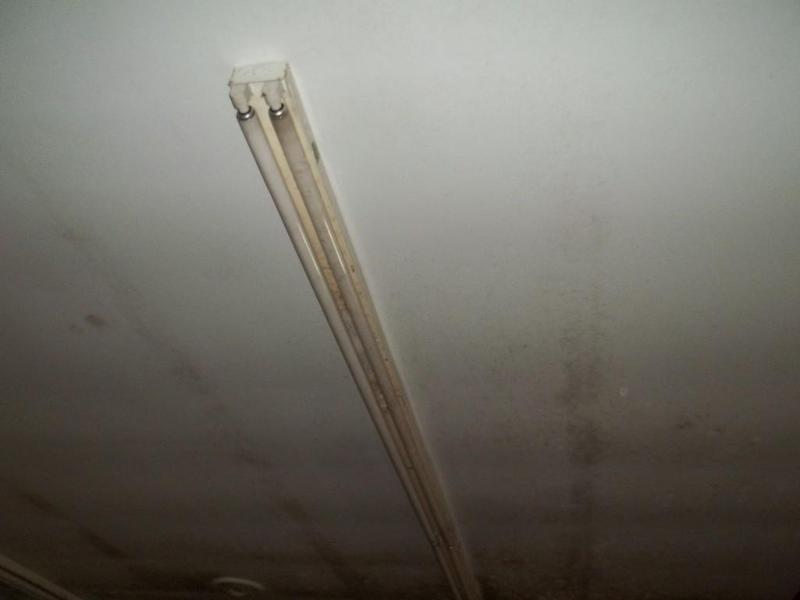 7 - 8 fluorescent lights...