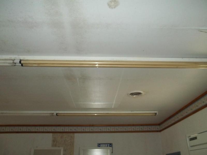 4 - 8 fluorescent lights...