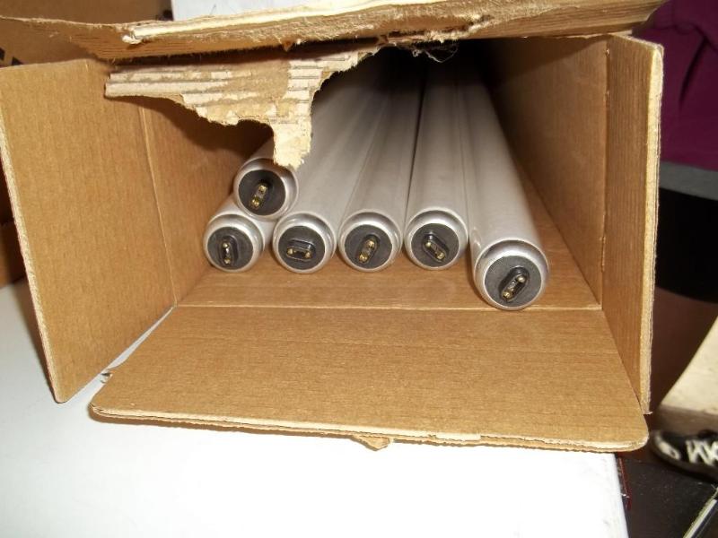 8 fluorescent bulbs 6...
