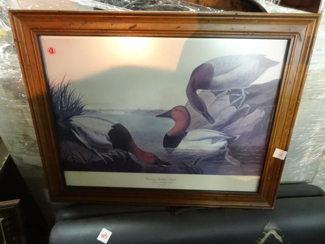 lot 125 image: Canvas backed duck print. Fuligula ...