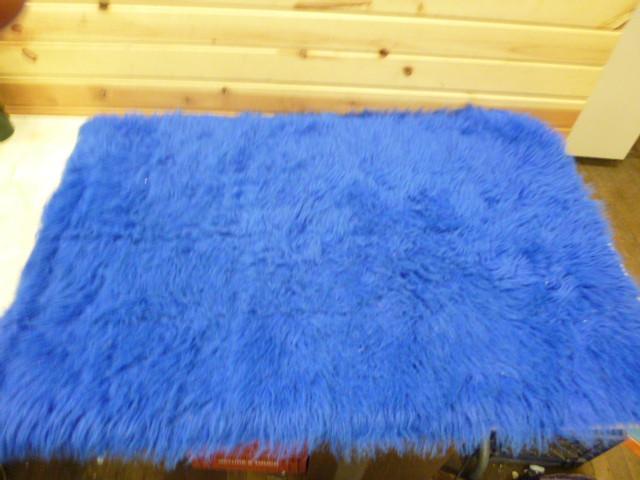lot 179 image: Fuzzy Rug 29" X 44"...