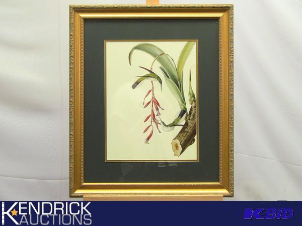 lot 42 image: Framed Bird Lithograph