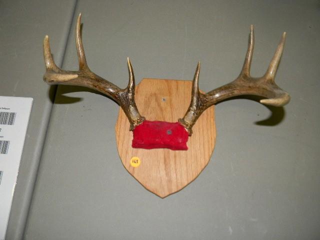 lot 163 image: 8-point deer rack mounted on wood p...