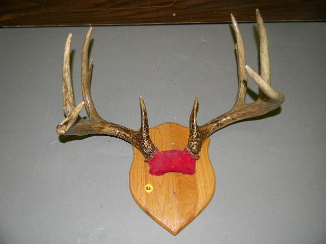 lot 166 image: 10-point deer rack mounted on wood ...