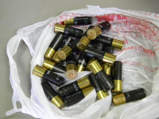 lot 29 image: Lot of 22 - 12 gauge shotgun shells...