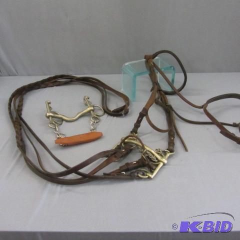 Bridle and Bit