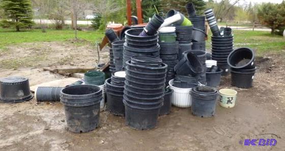 lot 97 image: 1 Large Lot of Assorted PlantShrub...