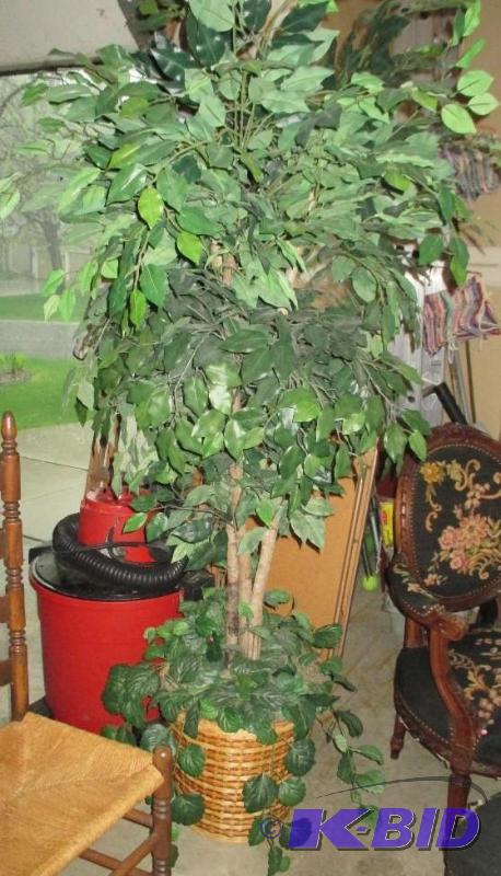 lot 71 image: Tree
