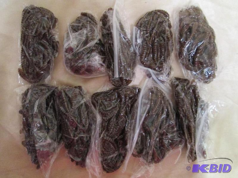 Lot of 10 bags of 4 jig worms. Pump...