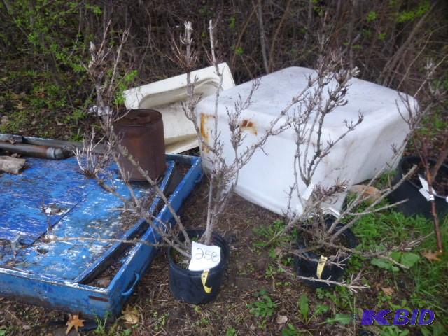 lot 258 image: # 3 Weigela ...