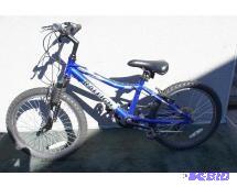 Raleigh Childs Bike Blue with 20&qu...