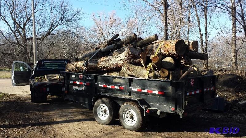 lot 12 image: Firewood- Dump trailer load of wood...