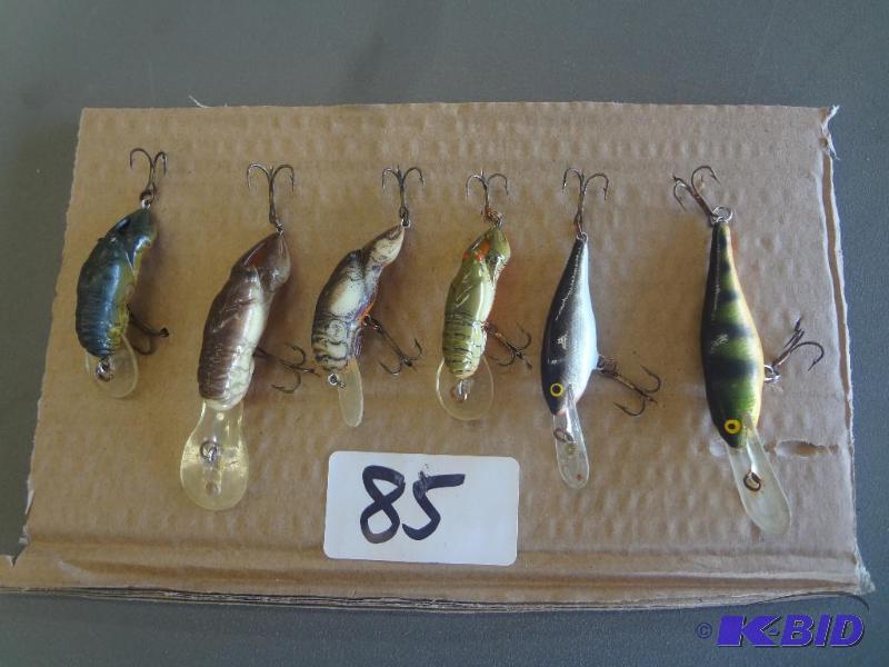 (6) Crankbait Lures...