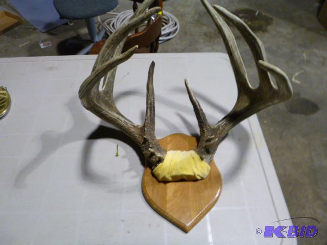 lot 148 image: Large Deer Antler Mount...