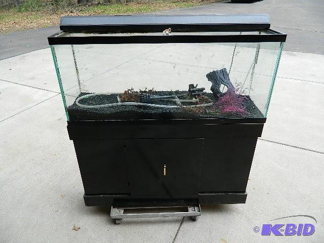 lot 116 image: 55 gallon Aquarium with base. ...