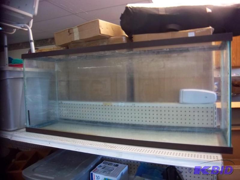 Large Fish Tank Aquarium - 55 Gallo...