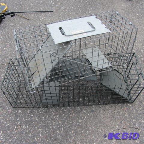 Live Cage