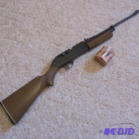 Pellet Rifle